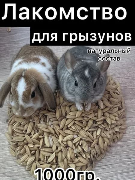 Лакомство для грызунов , кроликов, шиншилл ,