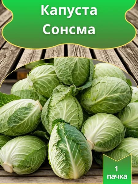 Коллекционные семена капусты б/к конической "Сонсма" F1,1 пачка