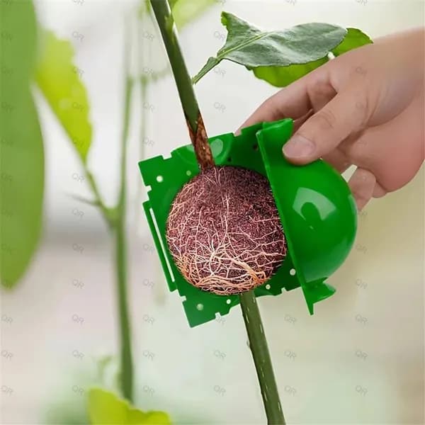 Гроубокс