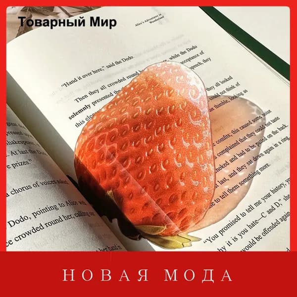 Закладка