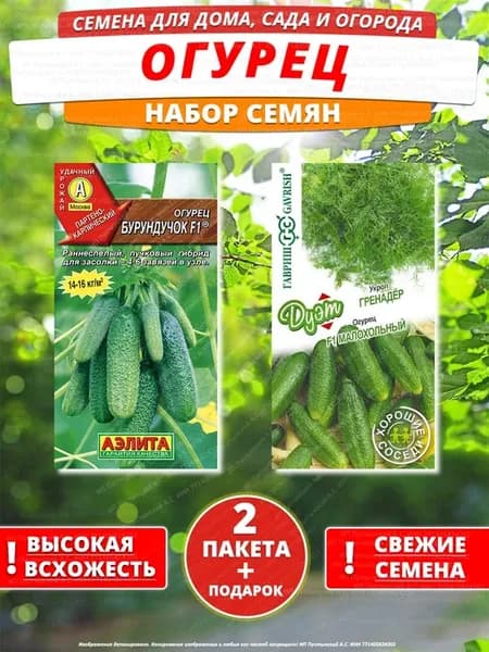 Семена огурец для дома сада посадки