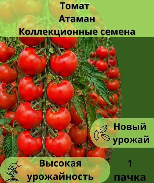 Коллекционные семена томата Атаман, 1пачка
