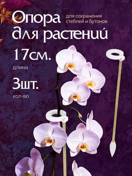 Опора для комнатных цветов и растений с кольцом