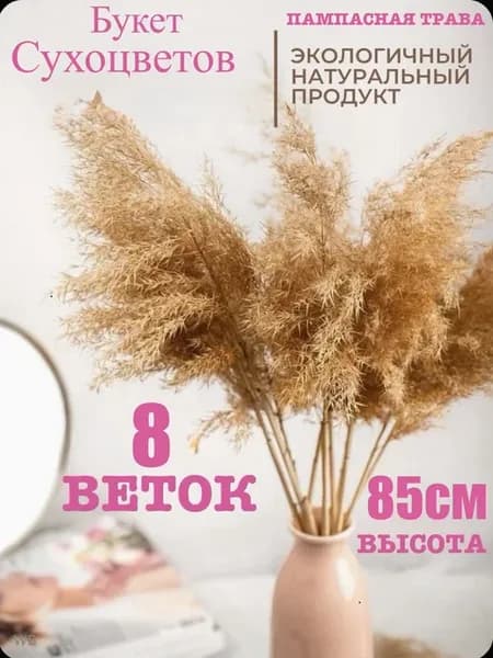 Сухоцветы для декора Пампасная трава 85см