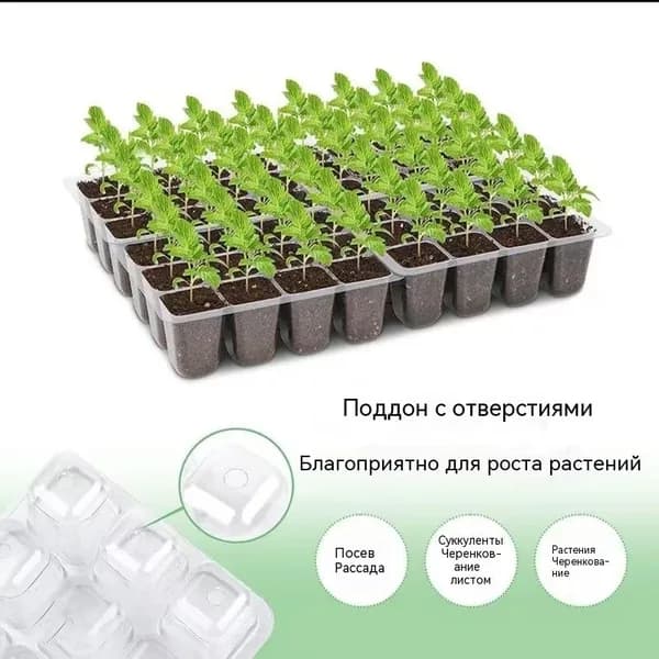 Проращиватель семян