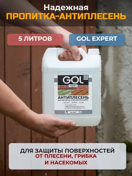 АНТИПЛЕСЕНЬ-пропитка GOLexpert (5л)