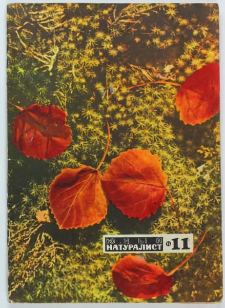 Винтажный журнал СССР Юный Натуралист, 1971 год