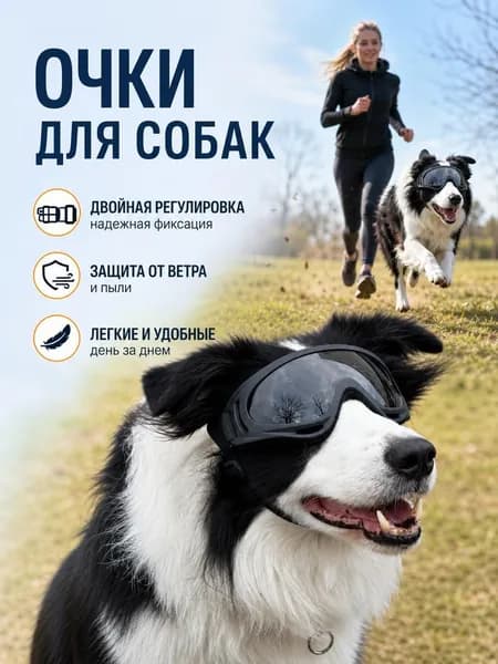 Очки для домашних собак