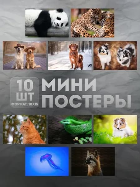 Мини постеры (набор) «Животные» 10 шт