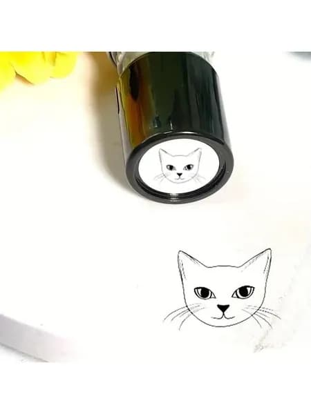 Котик-тюлень