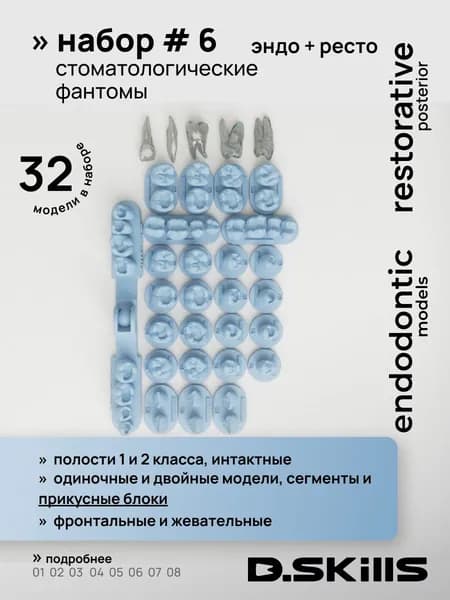 SET #6 Модели зубов для реставрации + эндомодели