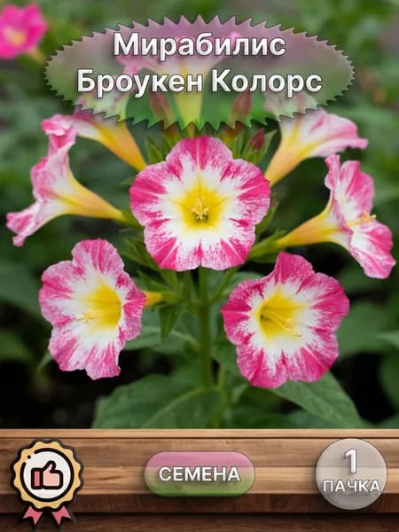 Мирабилис Броукен Колорс, смесь, семена 10 шт