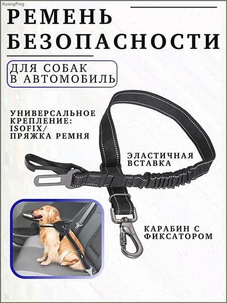 Ремень безопасности для собак