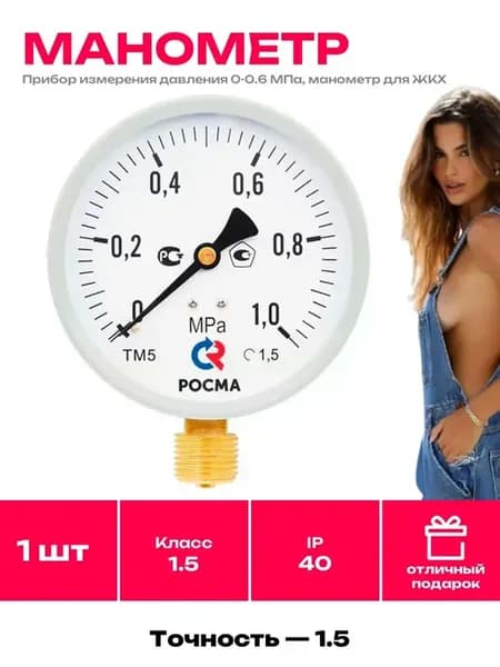 Манометр радиальный 100 мм 6 бар для компрессора 0.6 МПа