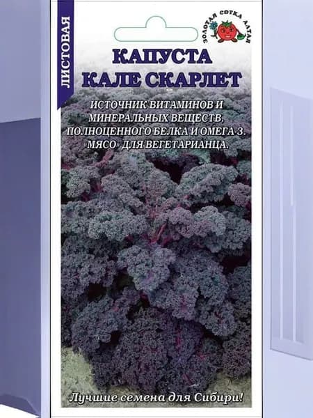Капуста Кале Скарлет листовая /Сотка/ 0,3г/ выс. 80-100см красн.