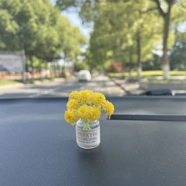 Украшение интерьера автомобиля