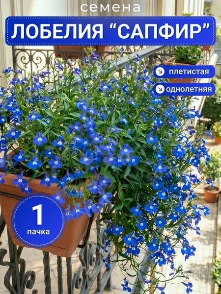 Семена