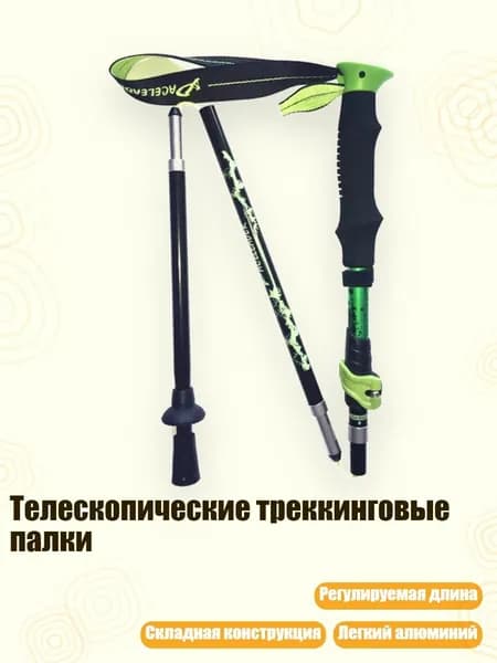 Горнолыжные палки