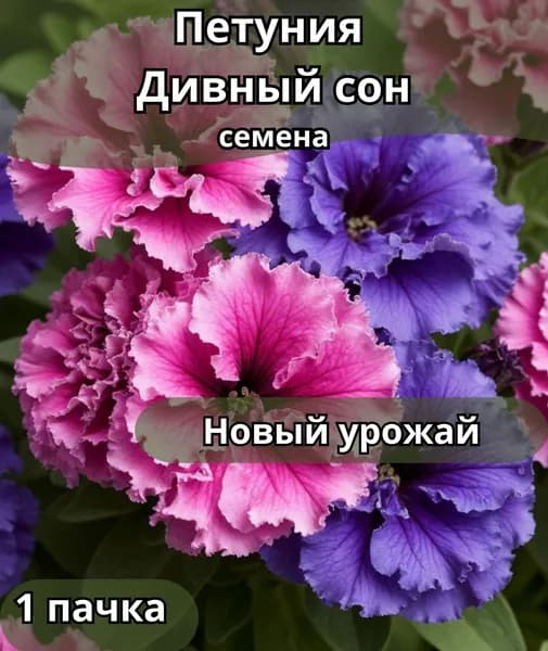 Петуния Дивный сон, семена 1пачка