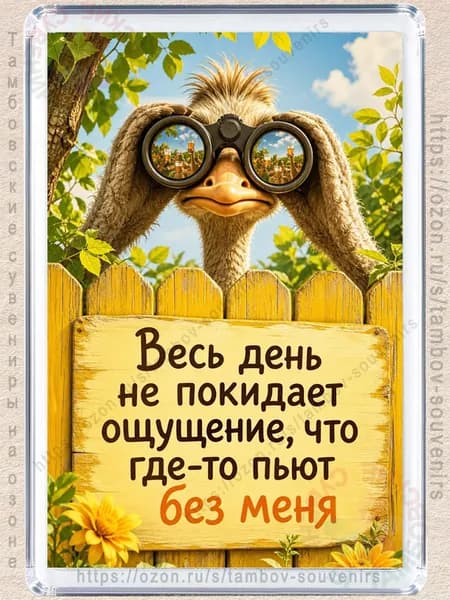 Магнит на холодильник "Где то пьют без меня"