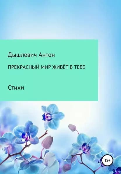 Прекрасный мир живёт в тебе | Дышлевич Антон Владимирович | Электронная книга
