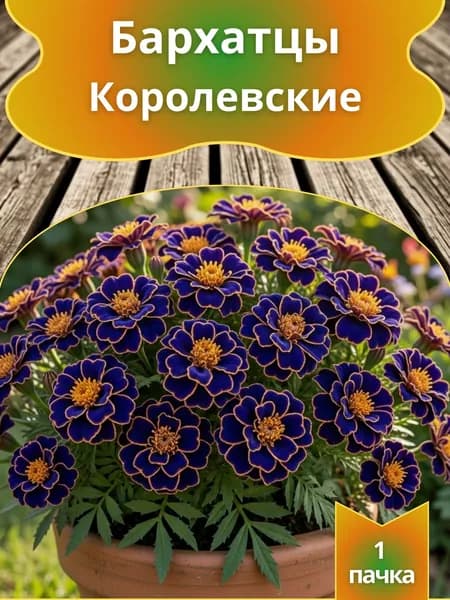 Бархатцы Королевские , семена 10 шт.