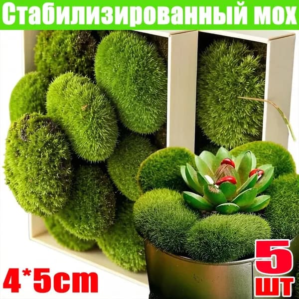 Стабилизированный мох Мох, 5 шт