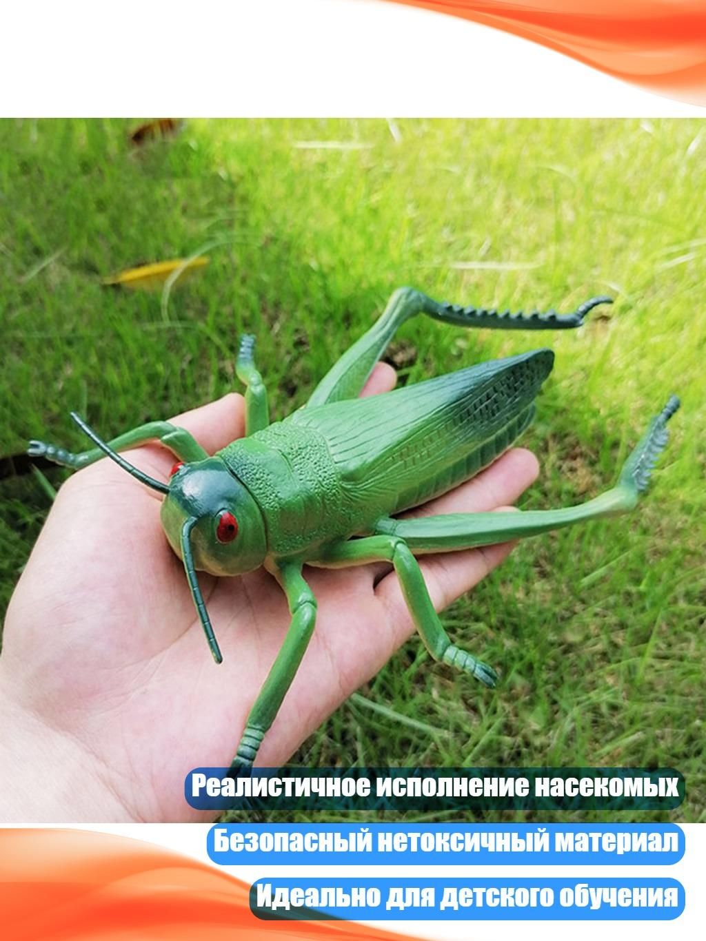 Реалистичные модели дикой природы, сверчки, 10