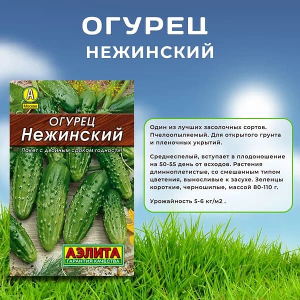 Семена Огурец Нежинский ,20 шт семян, Агрофирма Аэлита