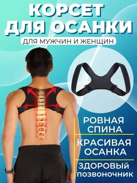 Тренажер для спины ANG000347