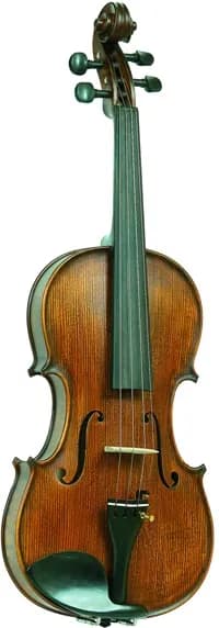 Скрипка Vasile Gliga I-V034-S