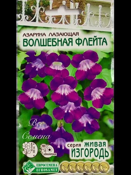 Азарина Волшебная Флейта, 1 уп 5 шт семена