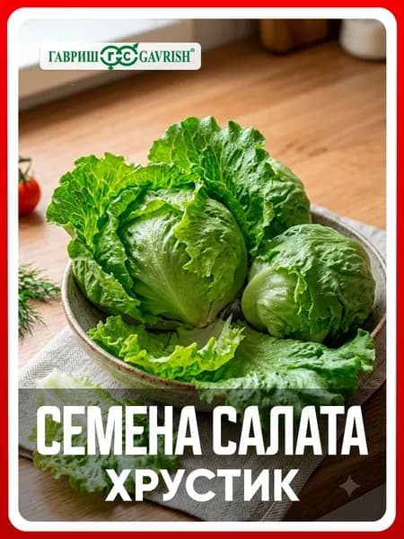 Семена Салат кочанный "Хрустик" 0,5 гр, зелень для дома, дачи и огорода, в открытый грунт, на подоконник, на балкон, в контейнер.