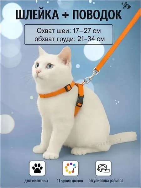 Шлейка с поводком для кошек,котов, котят,собак мелких пород, щенков и кролика,прогулочная регулируемая цвет оранжевый