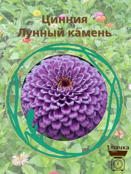 Цинния Лунный камень