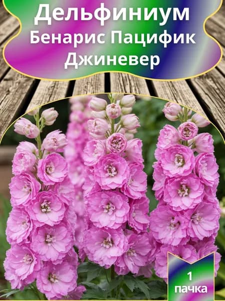Дельфиниум Бенарис Пацифик Джиневер ,семена 10 шт