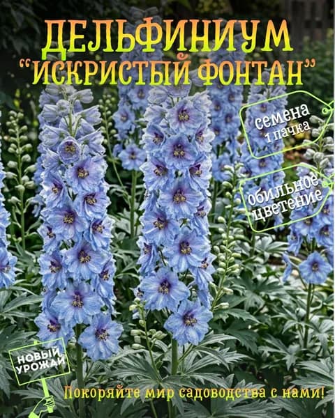 Дельфиниум Искристый фонтан, семена, 10 шт.