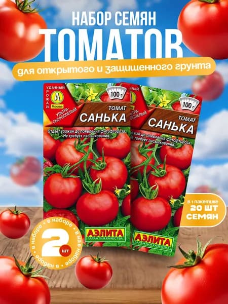 семена томата САНЬКА/ 2 пакетика / ультраранний