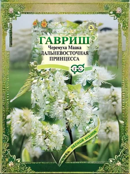 Гавриш Семена ,1шт