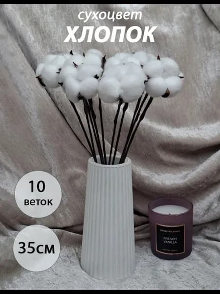 Сухоцветы для декора в подарок. Белый хлопок