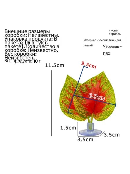Экология растений-рептилий украшение пустынного ландшафта
