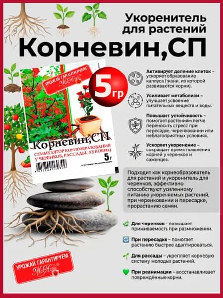 Корневин.. Регуляторы роста растений., 5 грамм. Дата изготовления на кромке пакета.