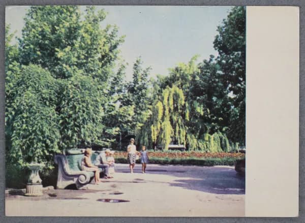 Открытка "Севастополь. Сквер на Приморском бульваре" Чистая. БФ 08814 Фото К. Шамшина и В. Епифанцева.