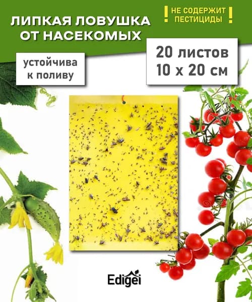 Ловушка для садовых вредителей