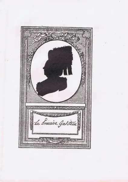 Княгиня Дарья Алексеевна Голицына (Гагарина). Антикварная гравюра (цинкография). Россия, 1899 г.