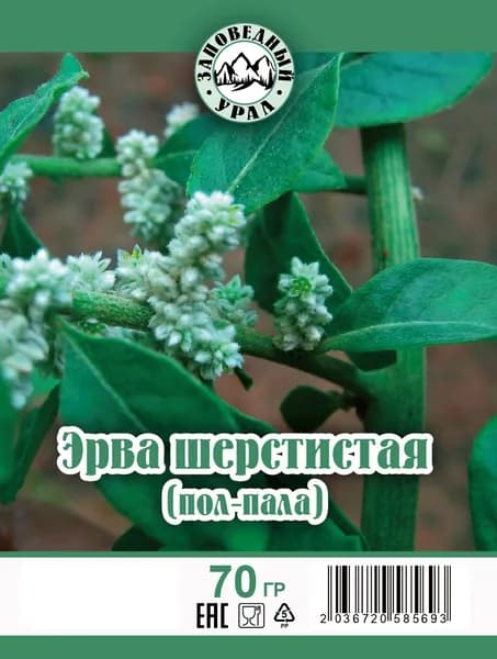 Эрва шерстистая (Пол-Пала) трава