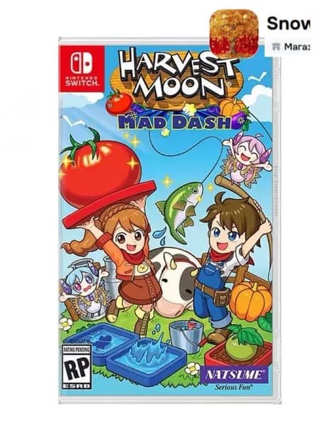 Игра  (Nintendo Switch, Английская версия)