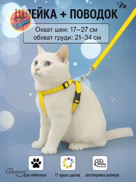 Шлейка