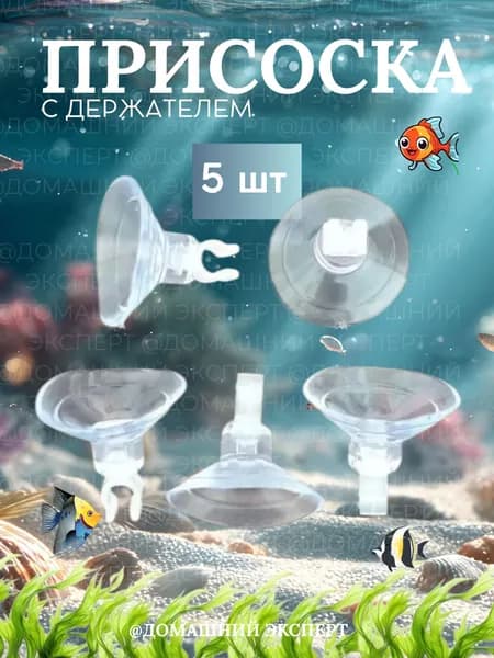 Присоска с держателем для аквариума Barbus, 4мм, прозрачный (Комплект из 5шт)