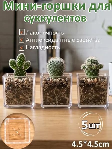Вазон, 5 шт, цвет прозрачный